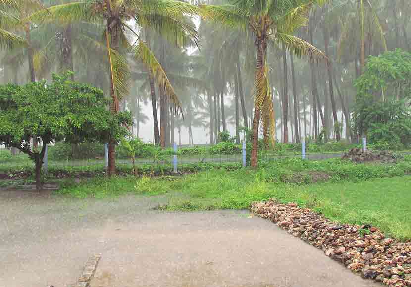 Weather during rainfall in Karur farming lands